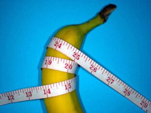 penis measurement during enlargement, using a banana as an example