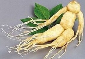 Ginseng root to produce infusion